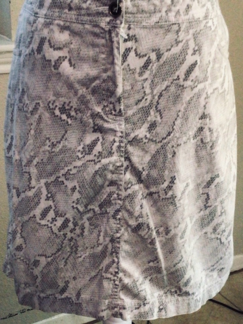 Chico's Light Gray Snake-Print A-Line Skirt Size 10